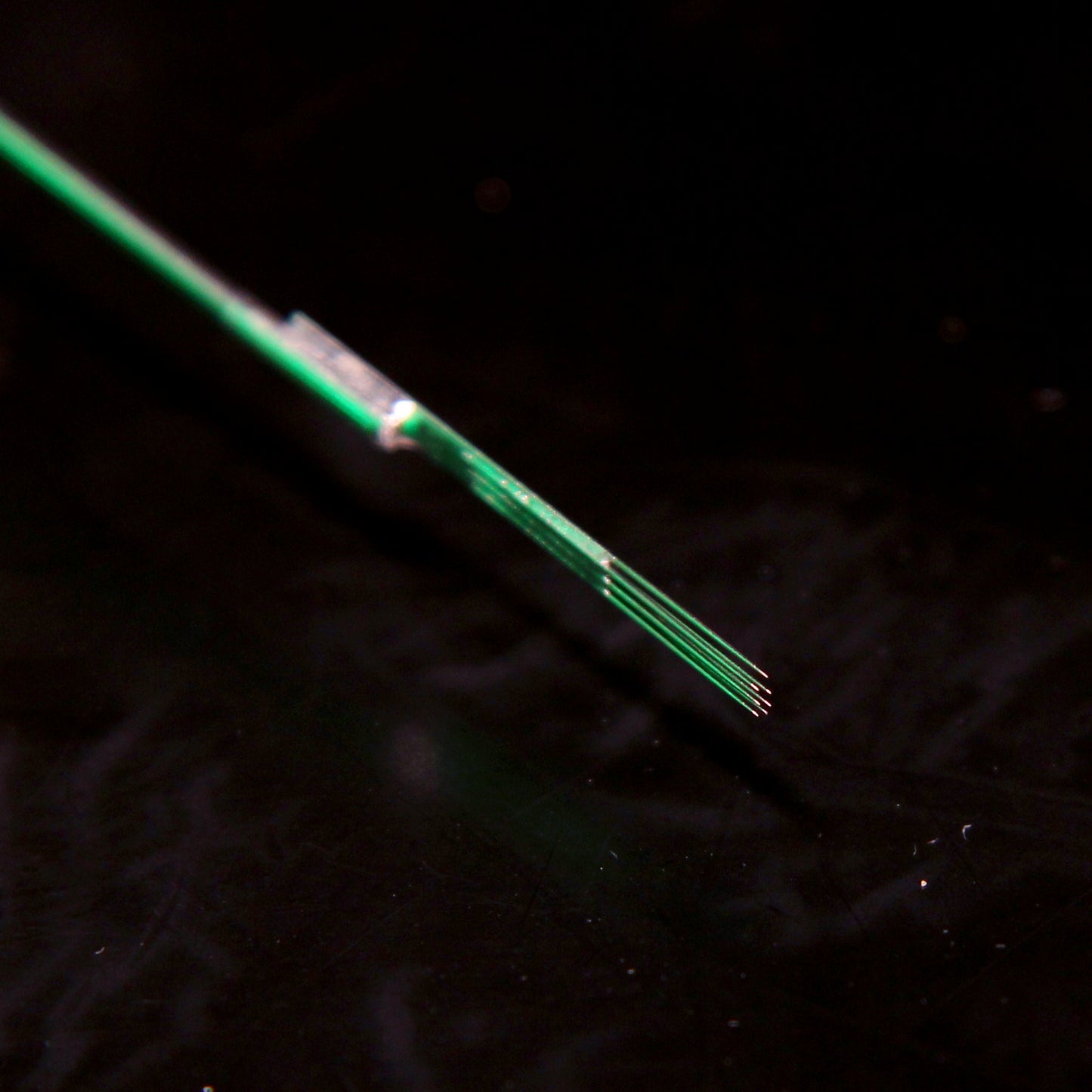 workhorse x good judy: magnum curved bug pin