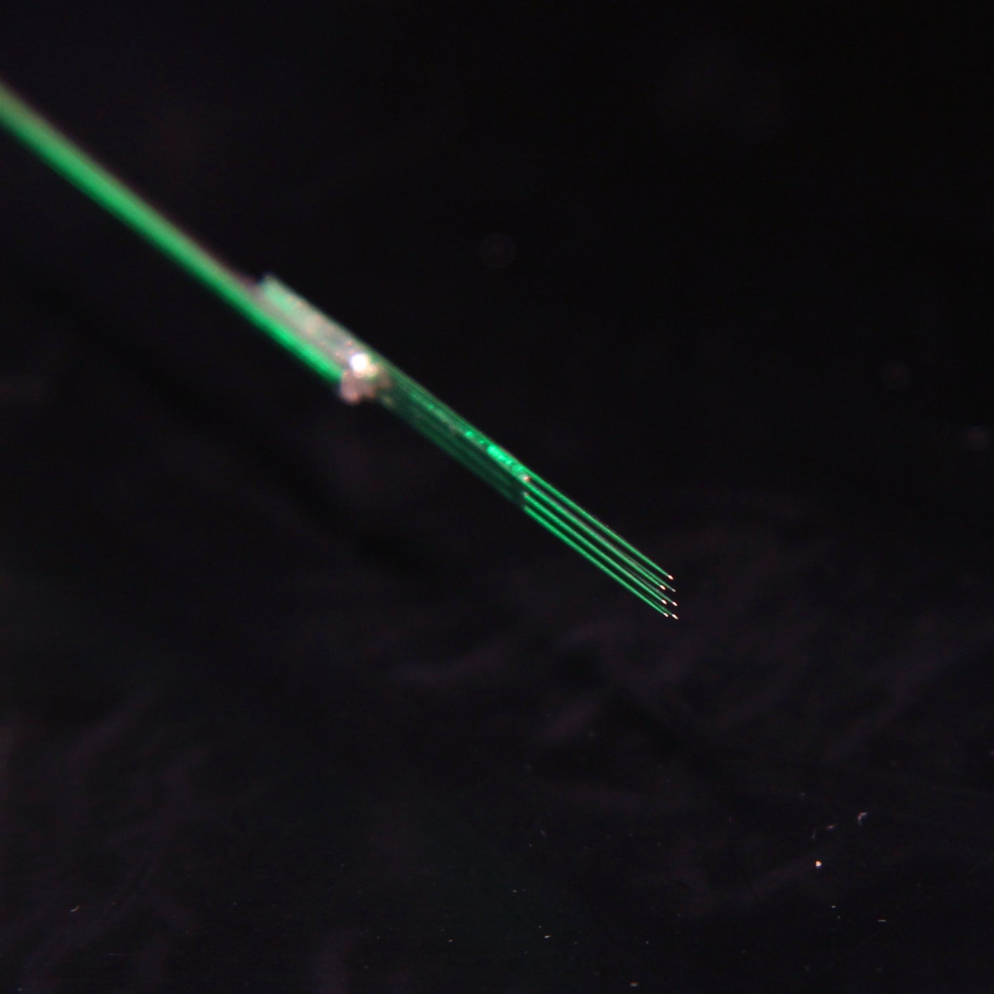 workhorse x good judy: magnum shaders