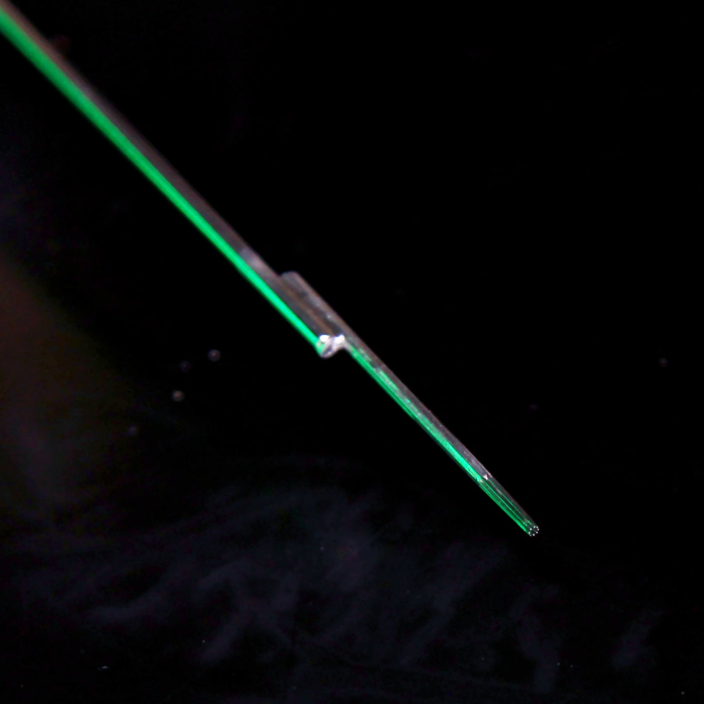 workhorse x good judy: round tight liner