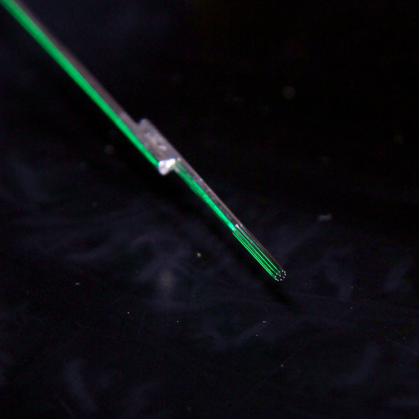 workhorse x good judy: traditional liners