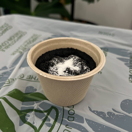 Biodegradable Solidifier: In-Store Only