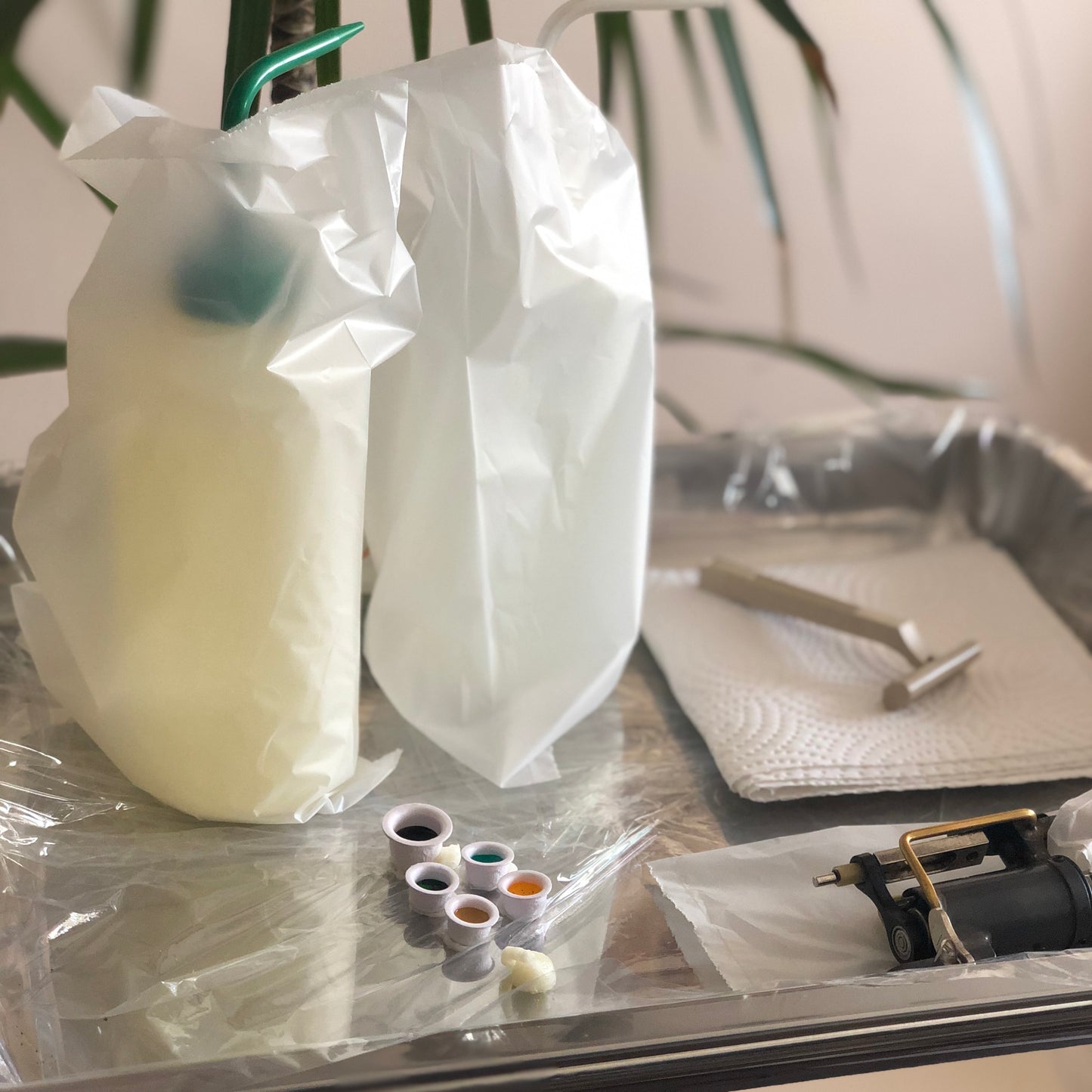 compostable bottle bags