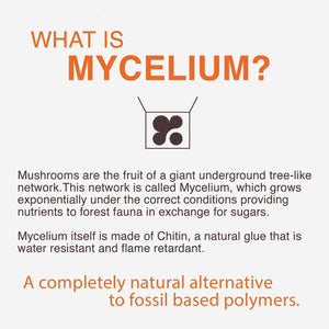 Mycelium Trays