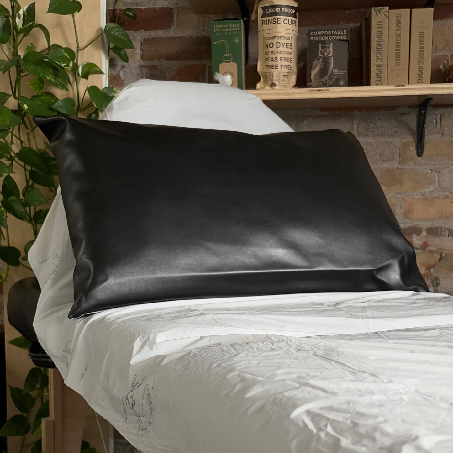 Cactus Leather Pillow