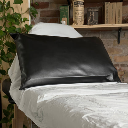 Cactus Leather Pillow